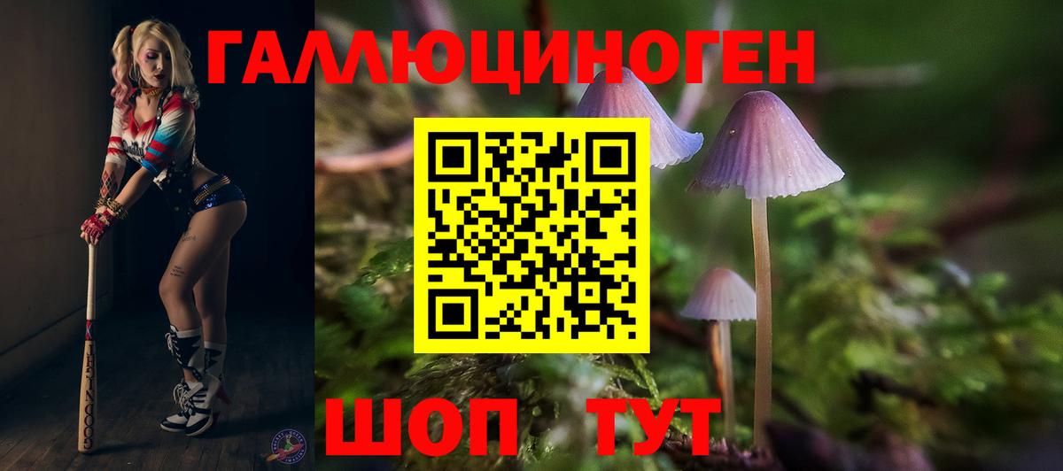 Псилоцибиновые грибы GOLDEN TEACHER  Вход с VPN  Сибай  Галлюциногенные грибы MAGIC MUSHROOMS 